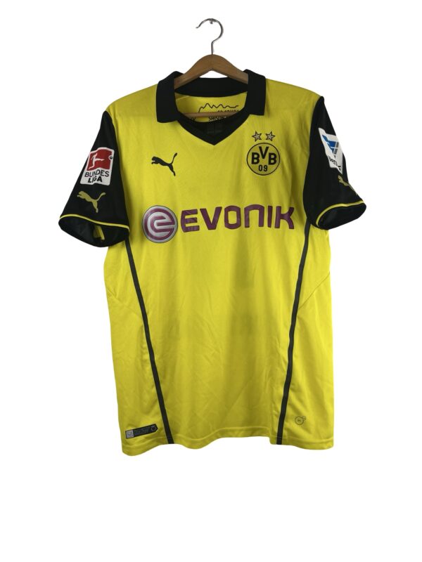Borussia Dortmund 2013