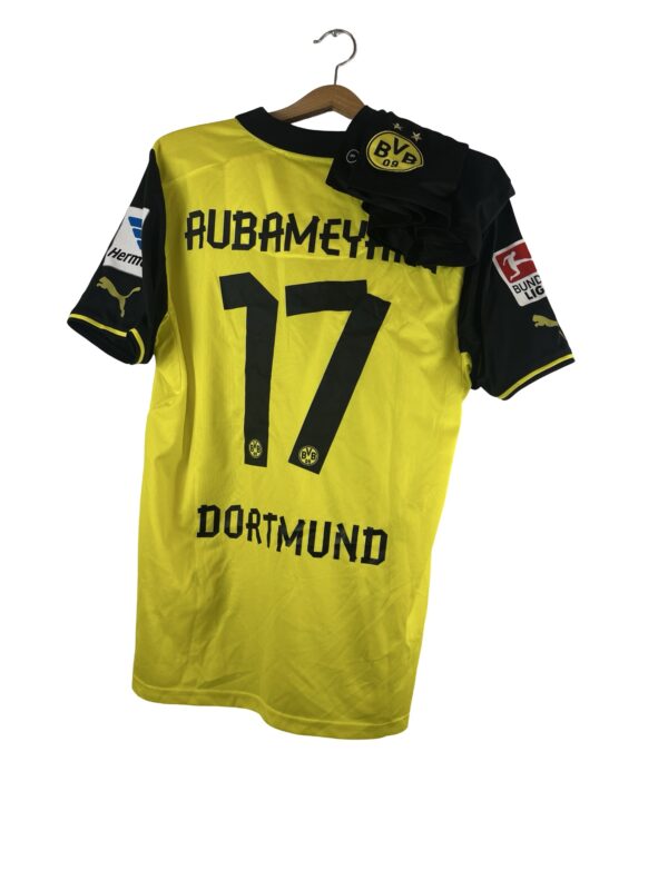 Borussia Dortmund 2013