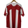 2008/09 - Stoke City (XL) – Image 2
